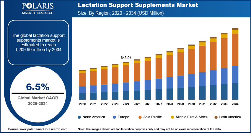 Lactation Support Supplements Market Size